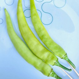 พริกหยวก