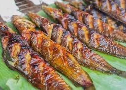 ปลาดุกย่าง