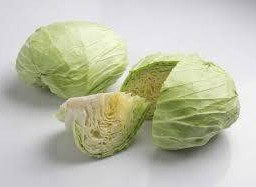 กะหล่ำปลี