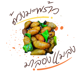 ด้วงมะพร้าว