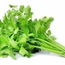 คื่นไช่