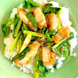 ผัดคะน้าหมูกรอบ