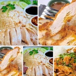 ข้าวมันไก่แซ่บบางปลา/ข้าวขาหมู ยำวุ้นเส้น ยำหมูยอ ข้าวมันไก่แซ่บบางปลา