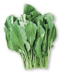 ยอดคะน้า