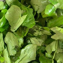 ตำลึงสด ตำลึงลวก