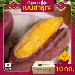 มันหวานญี่ปุ่นเบนิฮารุกะ เผาพร้อมทาน 10 kg