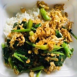 ข้าวราดคะน้าผัดไข่