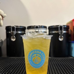 น้ำเก๊กฮวย Chrysanthemum