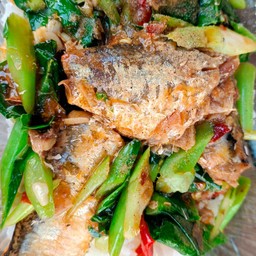 คะน้าปลากระป๋อง