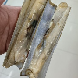 กระเพราหอยหลอด