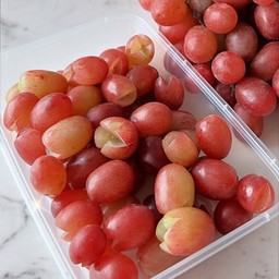 องุ่นแดงออสเตรเลีย