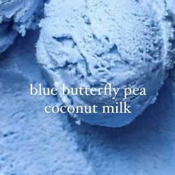 Blue butterfly pea coconut milk