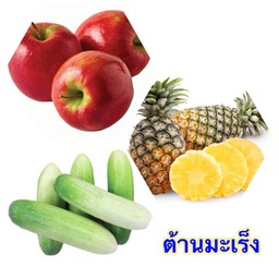 แอปเปิ้ลแดง แตงกวา สับปะรด
