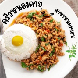 ครัวหนองคาย สาขาหนองขอน สาขาหนองขอน