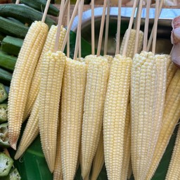 ข้าวโพดอ่อนหวานย่าง