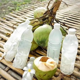 [ลด5%]12ขวดน้ำมะพร้าวขนาดกลาง 300ml