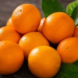น้ำส้มเพื่อสุภาพเงินล้าน(orange)