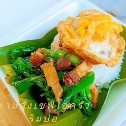 ข้าวราดผัดคะน้าหมูกรอบ