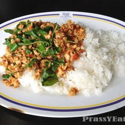 ผัดกะเพราไก่สับราดข้าว