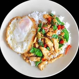 ข้าวกะเพราไก่+ฟรีไข่ดาว
