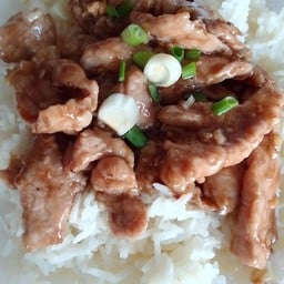 ผัดหมูหมักกระเทียมราดข้าว