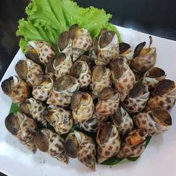 หอยหวานเผา 1กิโล