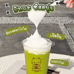 Chavachi