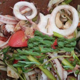 ตำป่าปลาหมึก