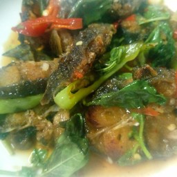 บังแอลข้าวต้มกุ๊ย ฮาลาล