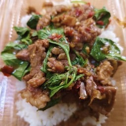 ผัดโหระพาเนื้อราดข้าว