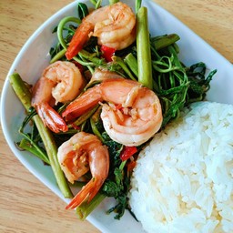 ผัดกระเฉดกุ้งราดข้าว