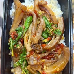 ข้าวผัดกะเพราหมึกกรอบ