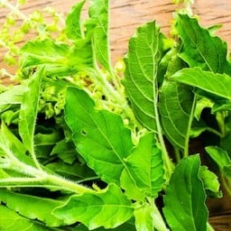 กิน นิ เมะ สวนใหญ่