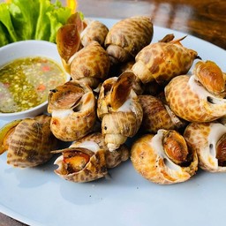 หอยหวานเผา