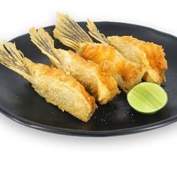 ครีบแซลมอนทอด