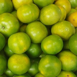 ส้มสายน้ำผึ้งเบอร5 ใลละ