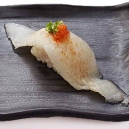 ครีบปลาตาเดียว