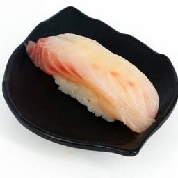 ปลาเนื้อขาวญี่ปุ่น ซูชิ