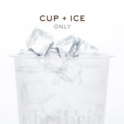 แก้วเปล่า (M) ใส่น้ำแข็ง 