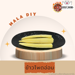 ข้าวโพดอ่อน