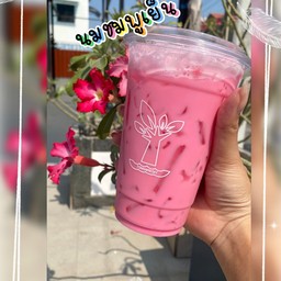 นมหมีนมชมพู เย็น