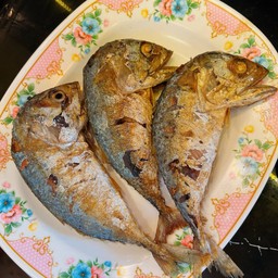 ปลาทูมัน