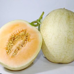 แคนตาลูป