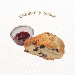 Cranberry Scone