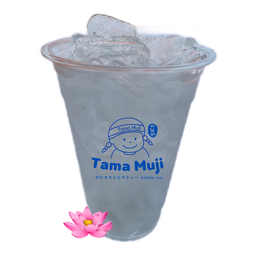ดอกบัวโซดา