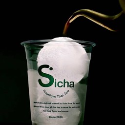 Sicha Ice Ball