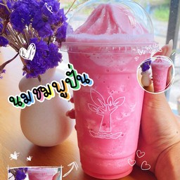 นมหมีนมชมพู ปั่น