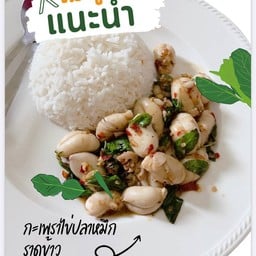 กะเพราไข่ปลาหมึกราดข้าว