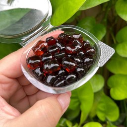 บุกบราวน์ชูก้่า