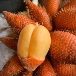 สละสุมาลี